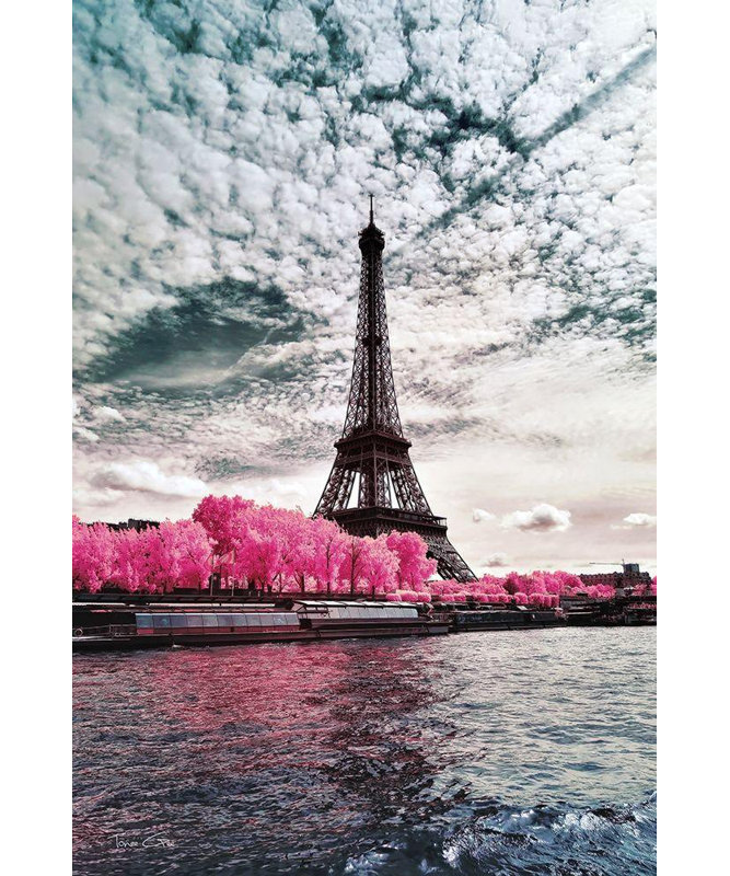 «Red Barrel Studio® Gee», art sur toile tendue par Tonee Gallery: IR on Lady, Paris, photographie infrarouge