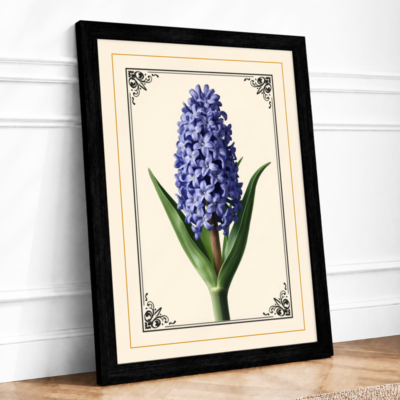 Hyacinth Study Botanical - Framed Print, A1 - 84.1 x 59.4 cm, Black