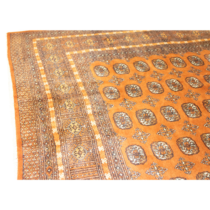 Hand Knotted Wool Area Rug in Rust