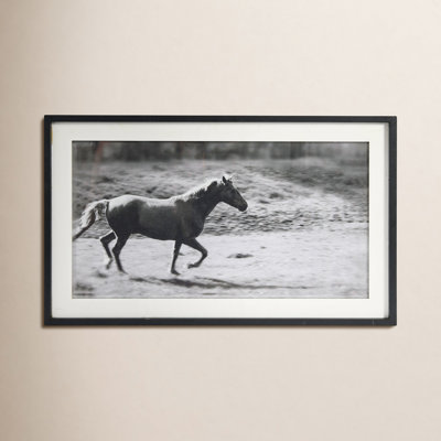 Galloping Horse Canvas Print