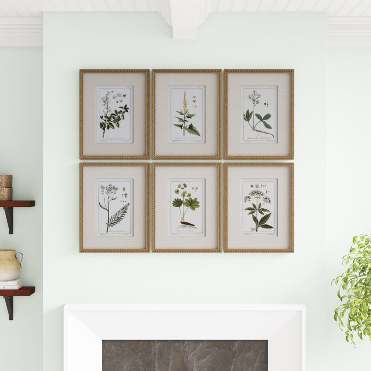 Floral Botanical Study - 6 Piece Single Picture Frame Print
