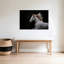 Art mural majestueux avec cheval blanc contemporain majestueux