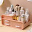 Maariyaah Plastic Desk Organiser-825238257