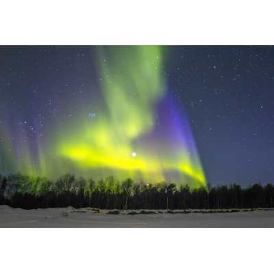 Aurora Borealis - Wrapped Canvas Print