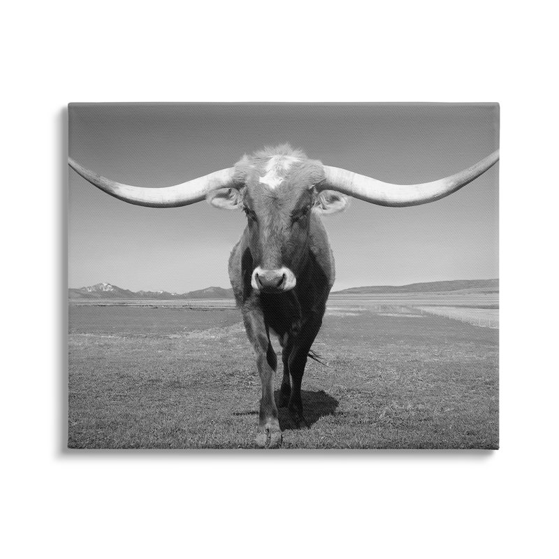 Longhorn en campagne par Steve Toole, L 20 po x H 16 po, Giclée encadrée noir minuit