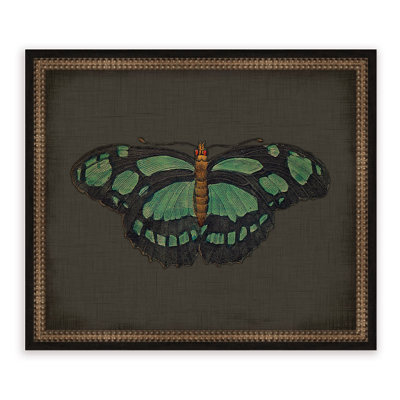 " Butterflies On Black V "
