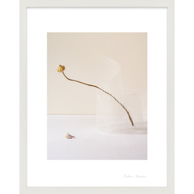 Lombard "Balance 2" Photo Print