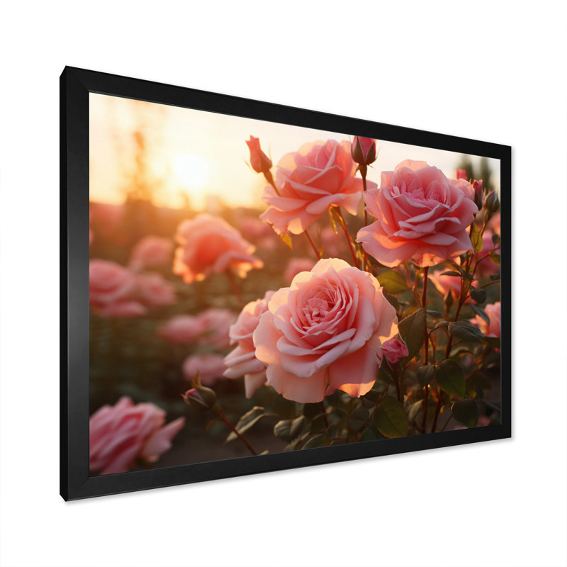 Champ de roses roses avec coucher de soleil, H 24 po x l 32 po x P 1 po, Cadre simple noir