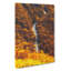 Driving Through a Forest in Brazil by Tawaraya Sotatsu - Wrapped Canvas Painting Print-55342648