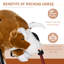 Berceau pour enfant Rodeo Bull