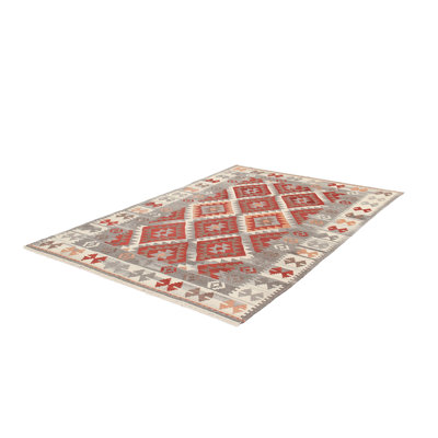 Zagros Southwestern Hand Woven Area Rug