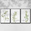 Fresh Sprig Persil, ensemble de 3 pièces encadrées sur toile-97795309-97795314