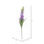 Fuchsia Stem-94734846