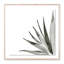 Agave I Print by Jess Engle-48615481-48615480