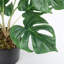 53cm Faux Philodendron Plant in Pot