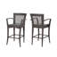 Tabourets de bar d'extérieur en rotin PE avec structure en fer (ensemble de 2)