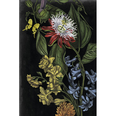 Dark Floral III by Naomi McCavitt - Wrapped Canvas Print