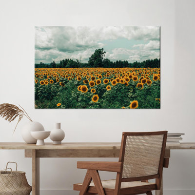 Print on Canvas
