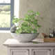 Renfri Handmade Pot Planter