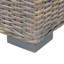 Zayac Wicker Trunk