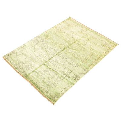 One-of-a-Kind 5'8" X 7'7" New Age Viscose Area Rug in Light Green