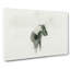 Wild Horse in Iceland in Abstract - Wrapped Canvas-55303294