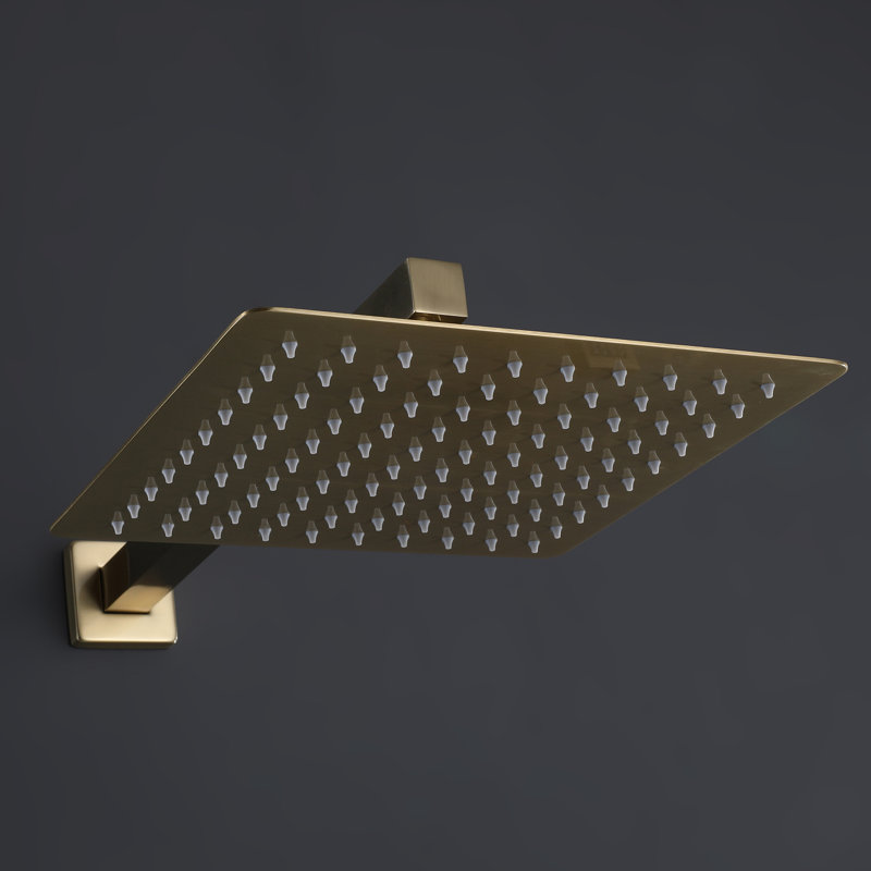 Rain Adjustable Shower Head 1.8 GPM GPM, Brushed Gold, Square