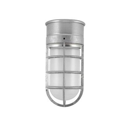Flush Mount Guard Sconce