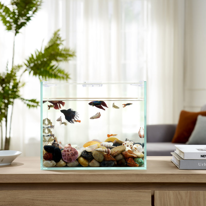 Sam's Pets Cove Fish Tank, 7 Gallon (9.84"H x 9.84"W x 11.81"D)