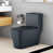 Gray Toilet/Gray Button