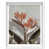 White Shadowbox is unavailable