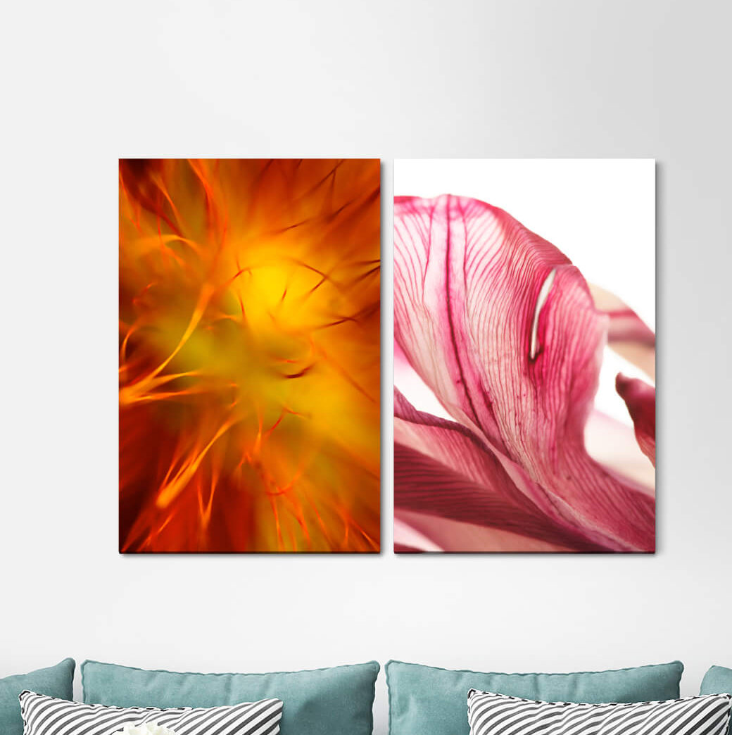 2-tlg. Leinwandbilder-Set - Fotografie „Orange Pink Flowersflowers Orchid”