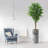 75'' Faux Ficus Tree in Pot