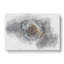 A Crisp White Rose - Wrapped Canvas-56639889