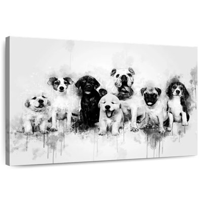 Chiots de chien noir et blanc
