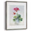 «Soft Geranium I», reproduction encadrée - bois massif 45223-1818073311