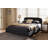 Trahan Standard-1271642361-1271642367