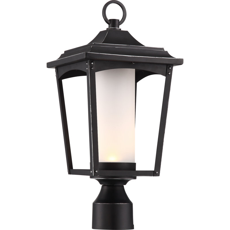 Aadrian Lantern Head