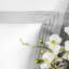 Eden Sham-59385548-59385550