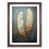 Walnut selected
