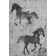 Premium Machine Washable Varroville AMF1717 Animal Rug