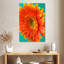 Harnek orange Gerbera Daisy II-108393331