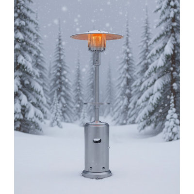 48,000 BTU Propane Patio Heater, With Table And Wheels