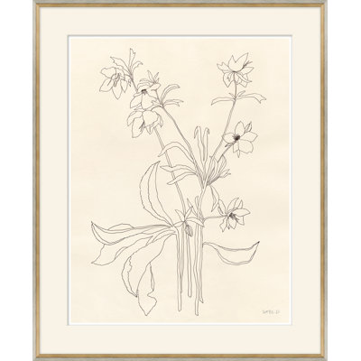 Helebore Study " Helebore Study II " by Susan Hable