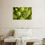 Broccoli Romanesco frais-607761593
