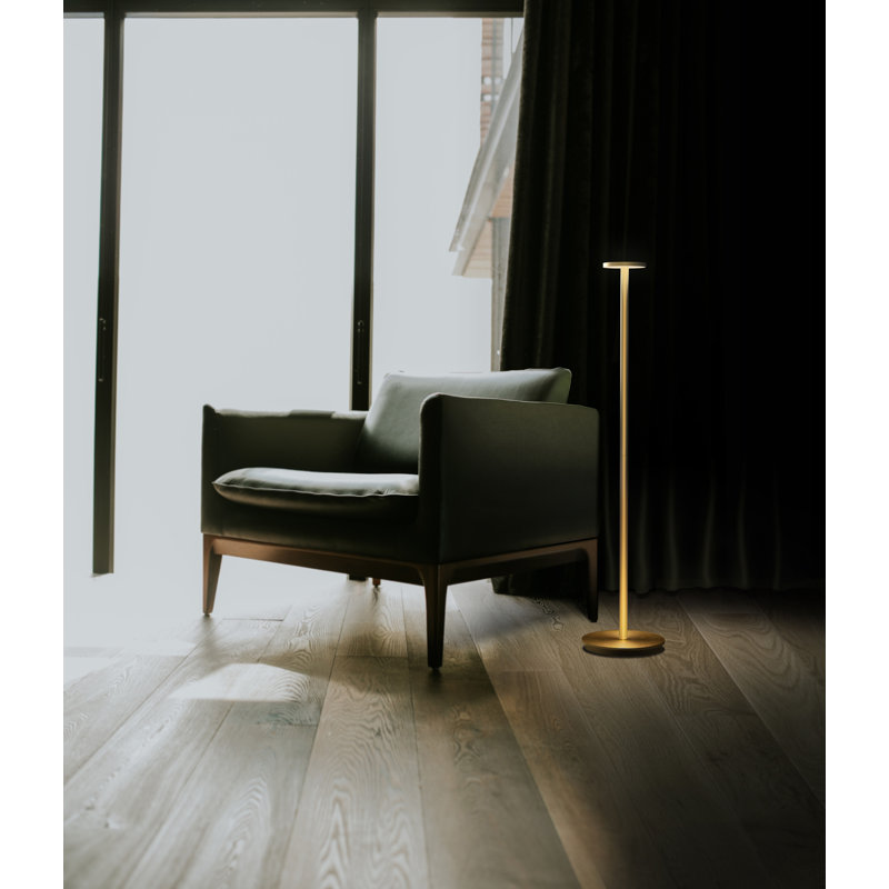 Luci 41" Novelty Floor Lamp, Satin Aluminum