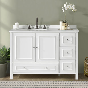 Williamsburg 48 Inch Bathroom Vanity, Freestanding Cabinet Without Sink, Large Wood Vanity with Soft-Close Doors