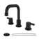 Widespread 2-handle Bathroom Faucet with Drain Assembly