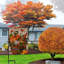Automne Welcome Garden Flag