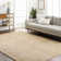 Dan Machine Woven Polyester Area Rug in Beige